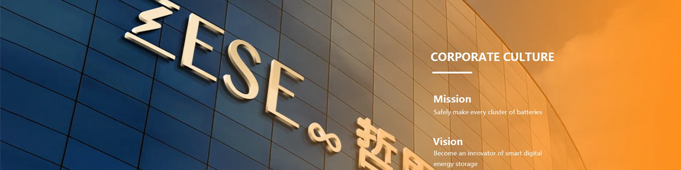 Shenzhen Zeseco Li-ion Recycling Tech Co.,Ltd