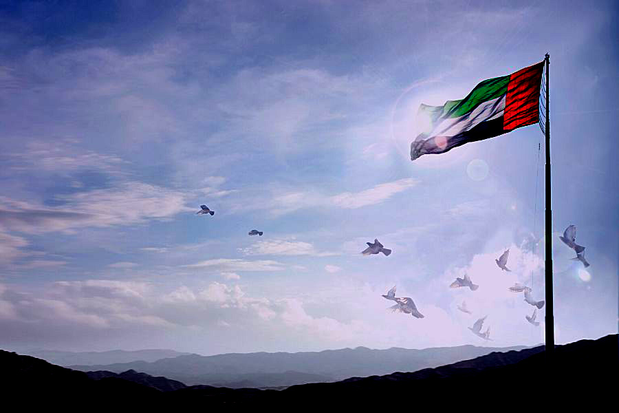 UAE to invest $54 billion to meet growing energy demand