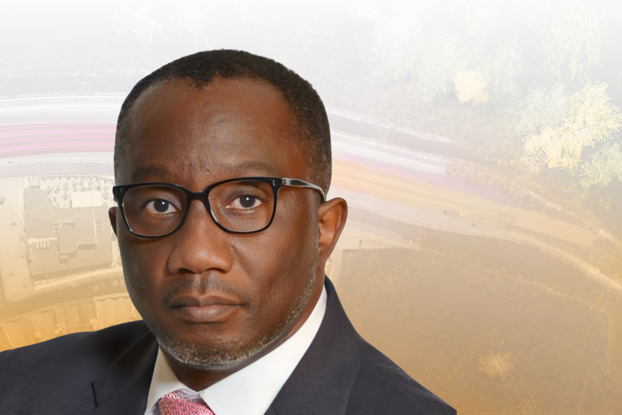 In conversation with Muyangwa Muyangwa on greening Zambia’s energy mix