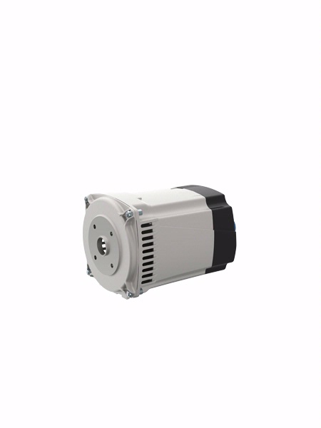 SP10 - 2 poles brushless