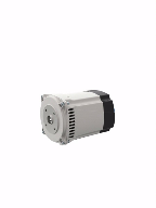 SP10 - 2 poles brushless