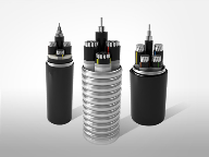 Power System