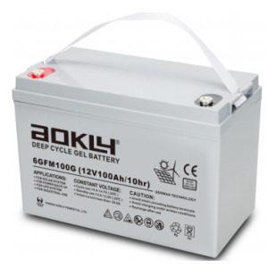 Lea Acid Batteries 6GFM100G (12V/100Ah)