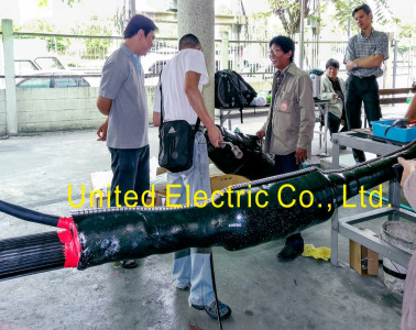 132kV Pre-molded Cable Joint (KEMA certificate)