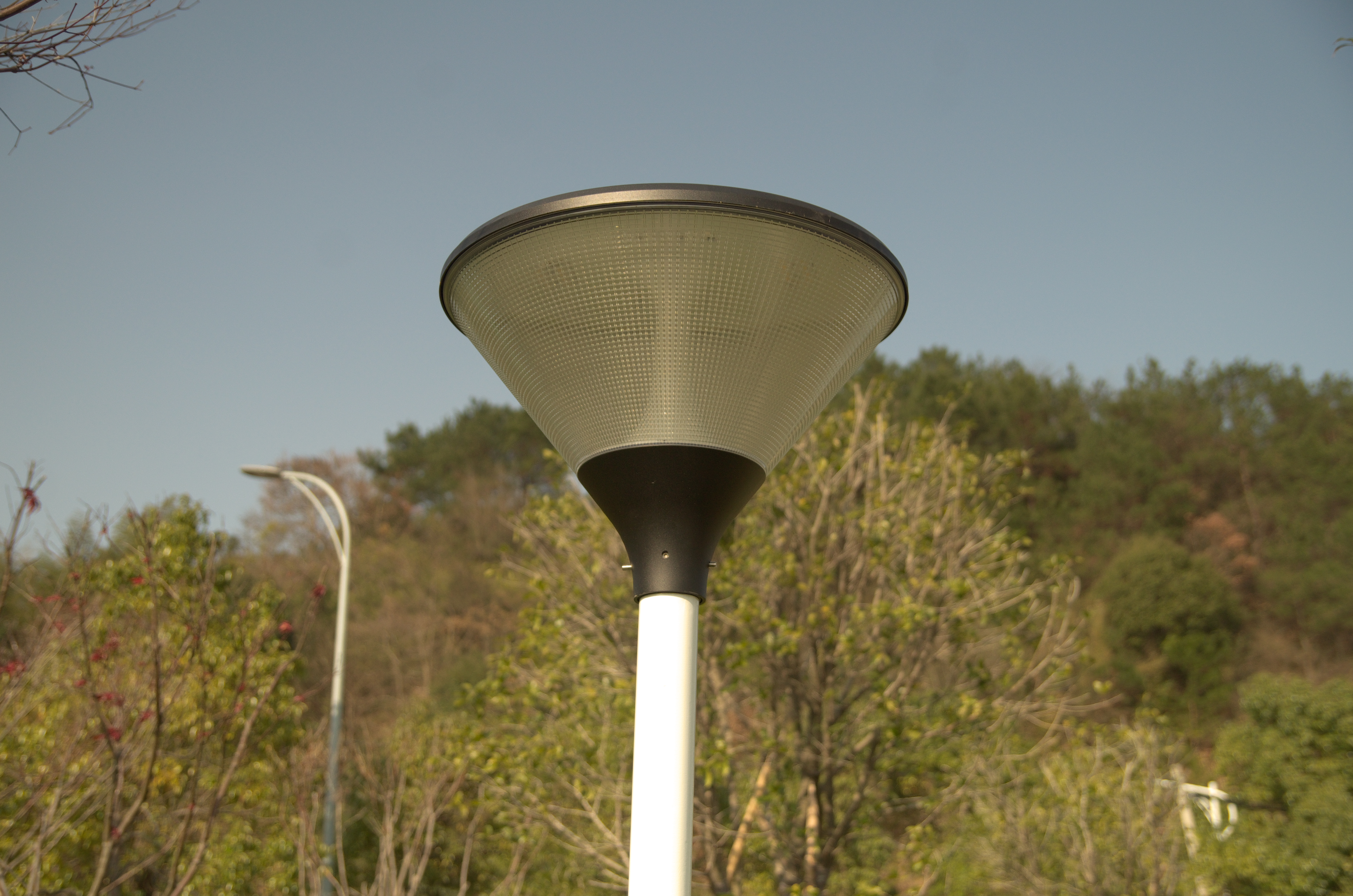 LED decrotive lamp