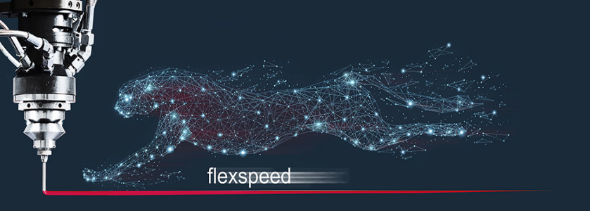 FlexSpeed by RAMPF