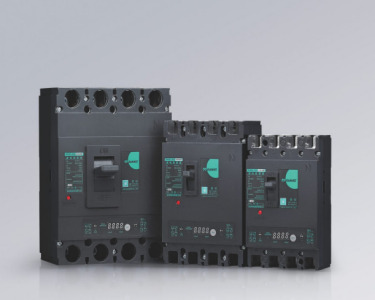 GTM2L Earth Leakage Circuit Breaker