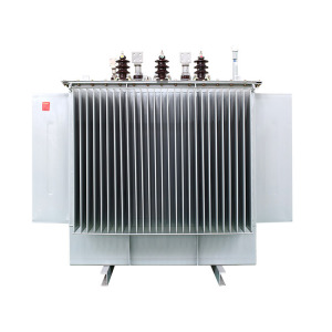 Oil-immersed transformer