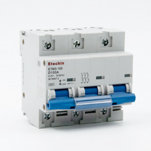 1P, 2P, 3P, 4P B C D Curve, MCB, ETM3-100, AC, DC, 80A, 100A, 125A, Miniature Circuit Breaker, Mini Circuit Breaker, Din Rail