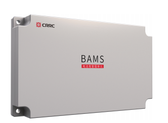 BMS (Battery Management System)