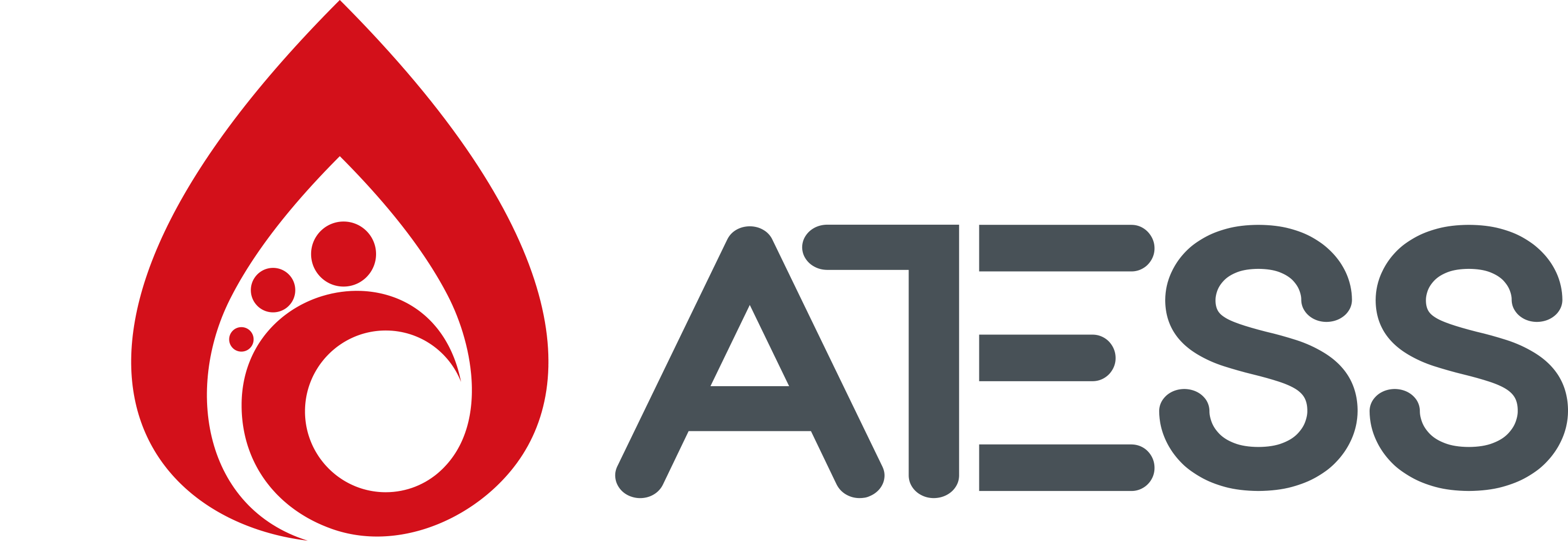 Shenzhen Atess Power Technology Co.,Ltd