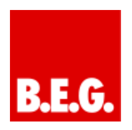 B.E.G. Brück Electronic GmbH