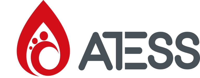 Shenzhen Atess Power Technology Co.,Ltd