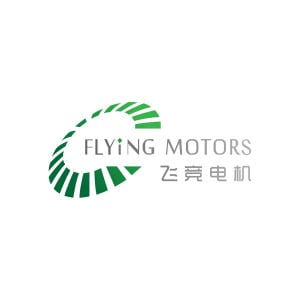 Flying Motors (Shenzhen) Co., Ltd.