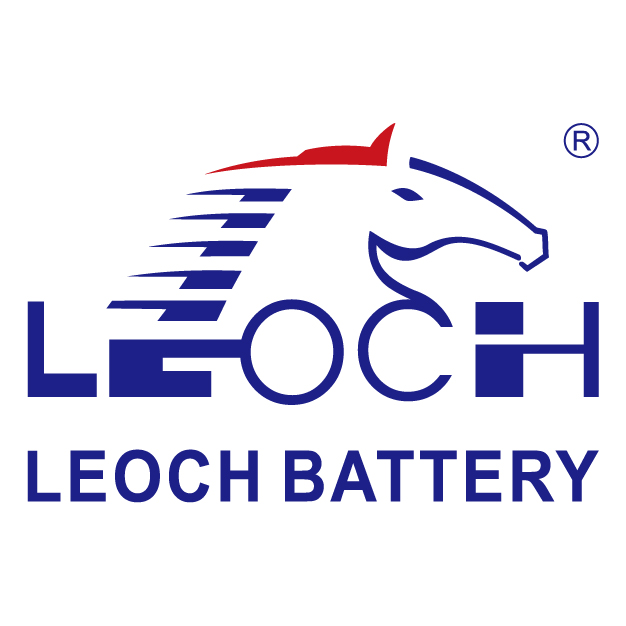 Anhui Leoch Power Supply Corp
