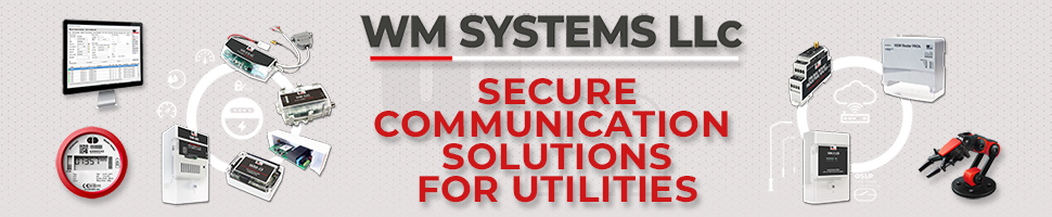 WM Systems